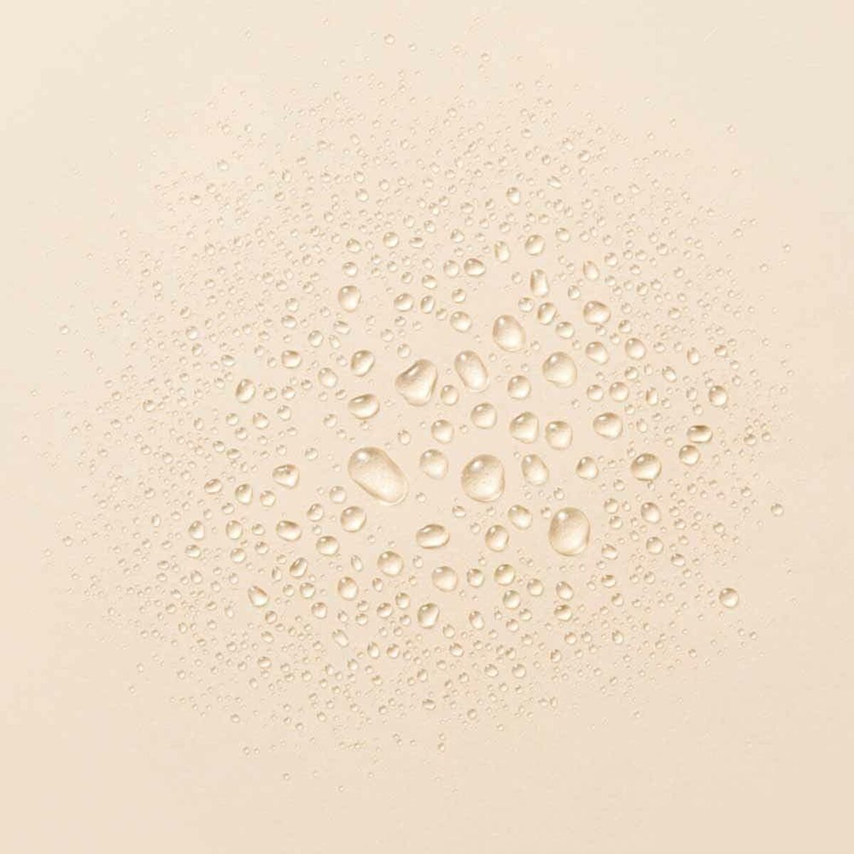 V3HB2F9526727CCA7C67889DCA5C48E9CF9R5625681P2