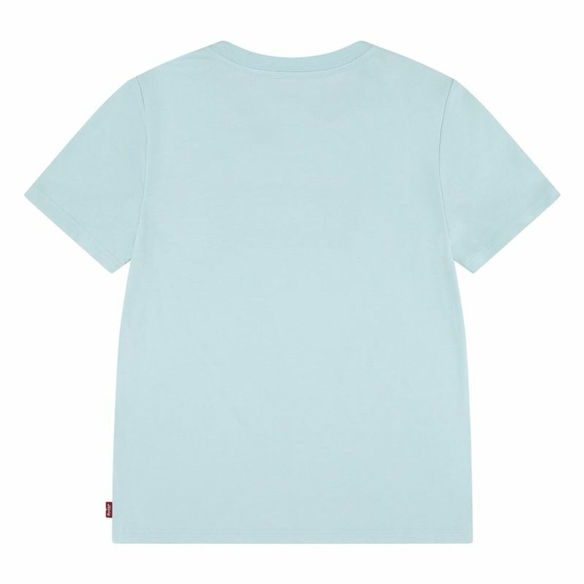 V4HC3D0258B8DBD1B724E6C3065D446FF67R4722313P2