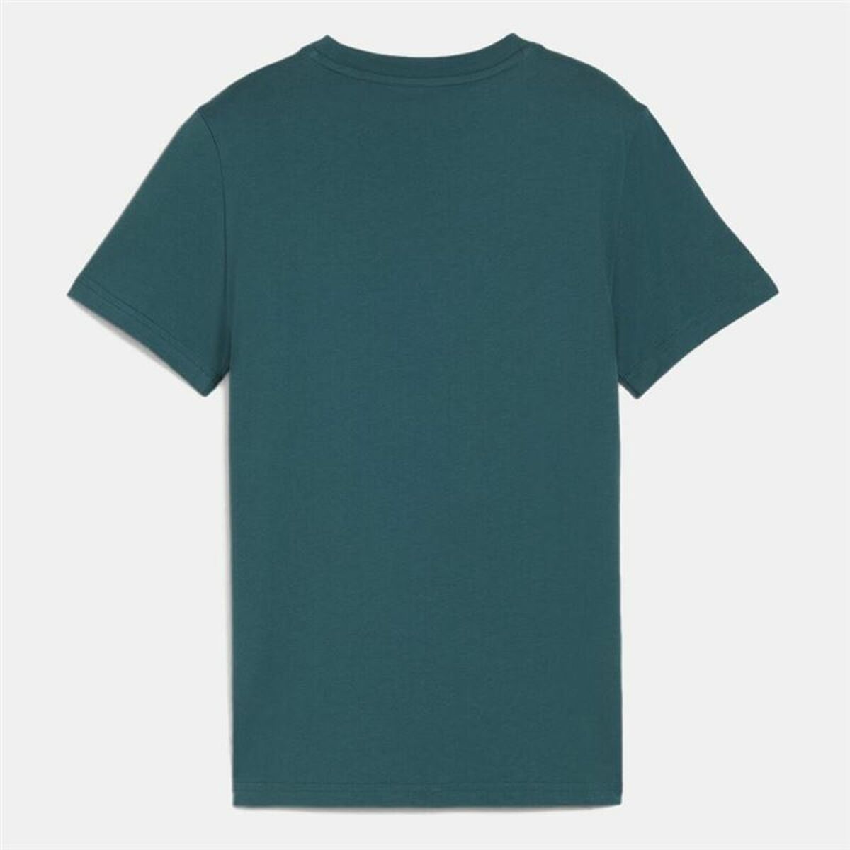 V6H111083FE28035883619D696A3EF96341R5464314P2