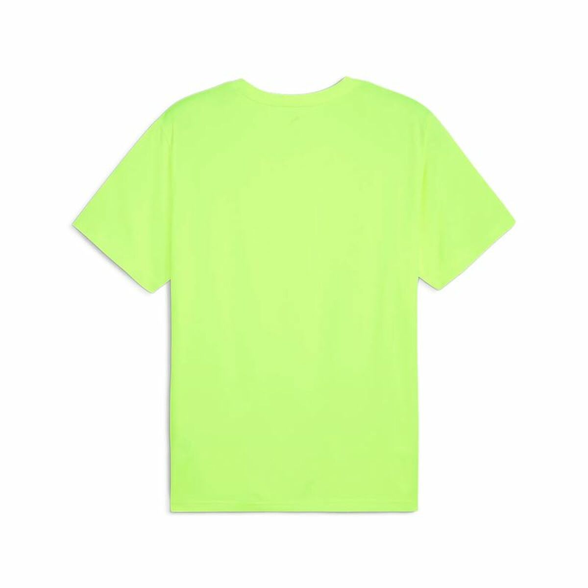 V3H4DEC225A88649BAF792E971AD5DE2136R6083177P2