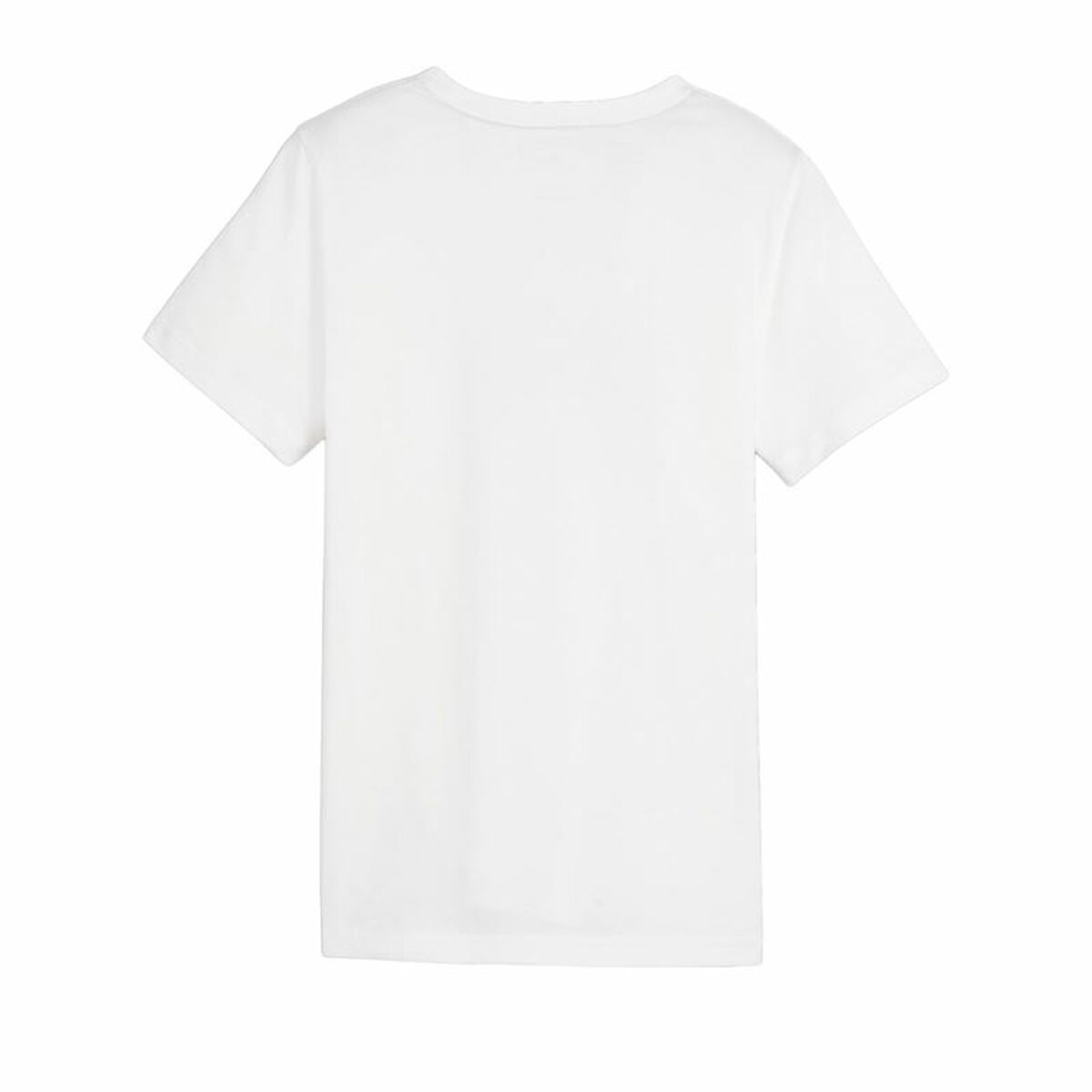 V4HA571D587926EC2B2BEF5EDB8B5B7B0E5R4660883P2