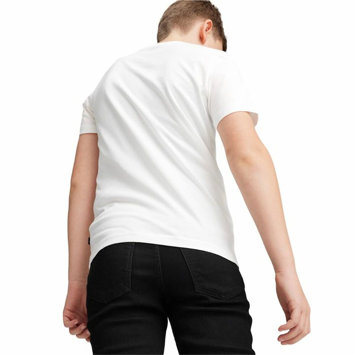 V4H431C4F72A41D773B52D89EE07913A9E1R4660807P4