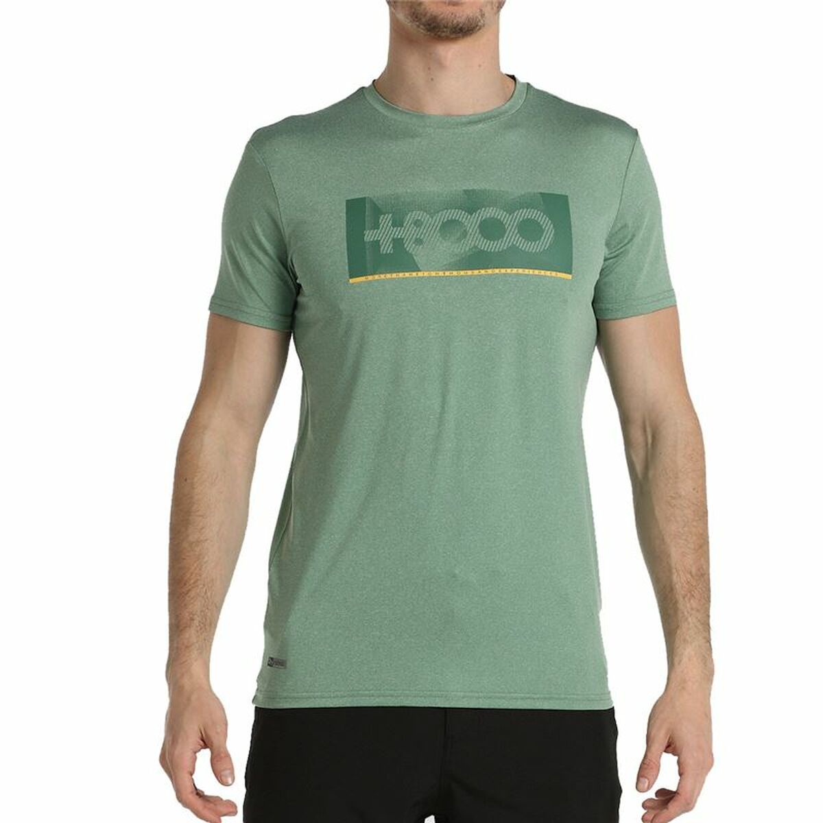 V4HC368C990C78E98C170AAE7E393371860R5319211P2