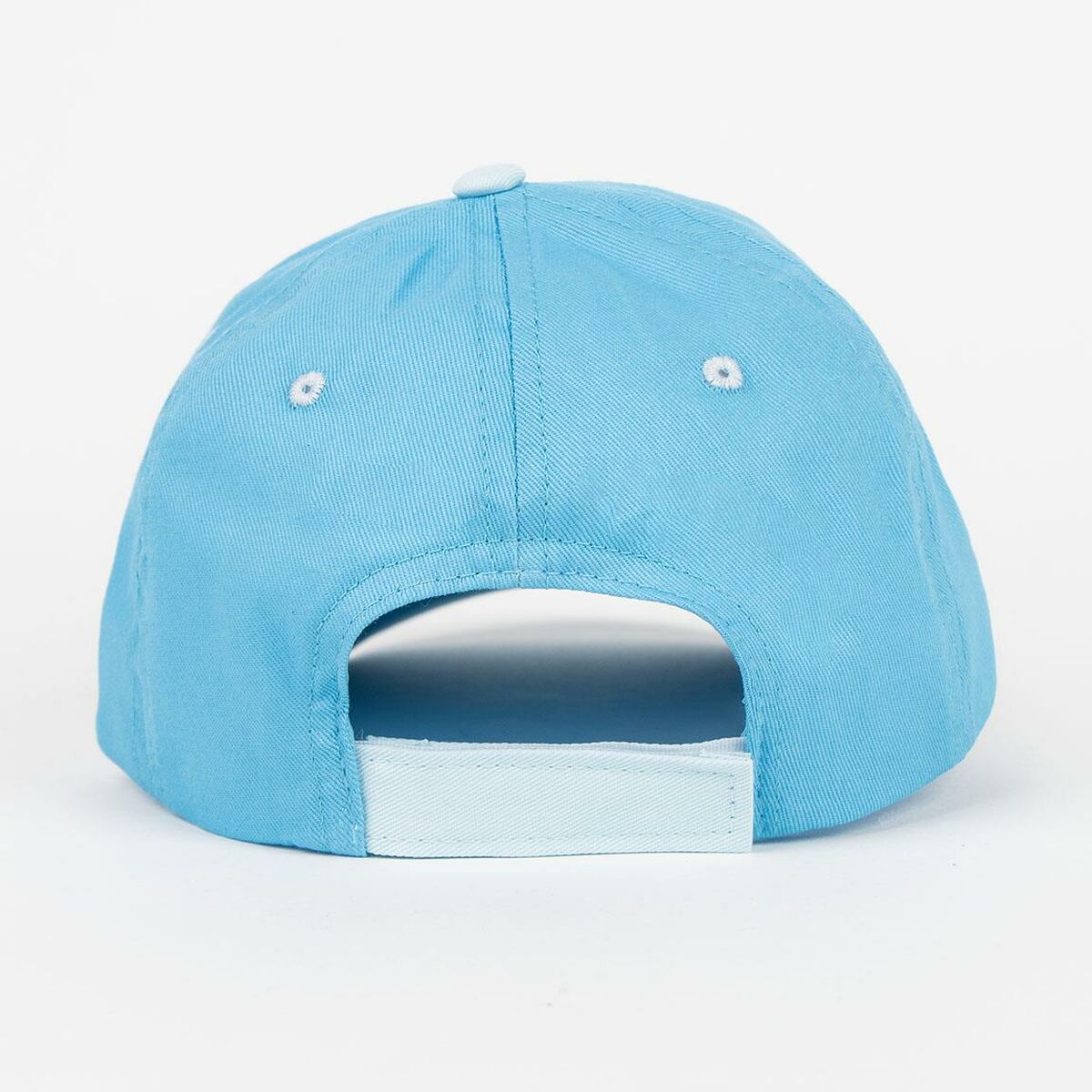 V5H68D8C1D3E2D387B11BD7F4CFC089317CR5457393P3