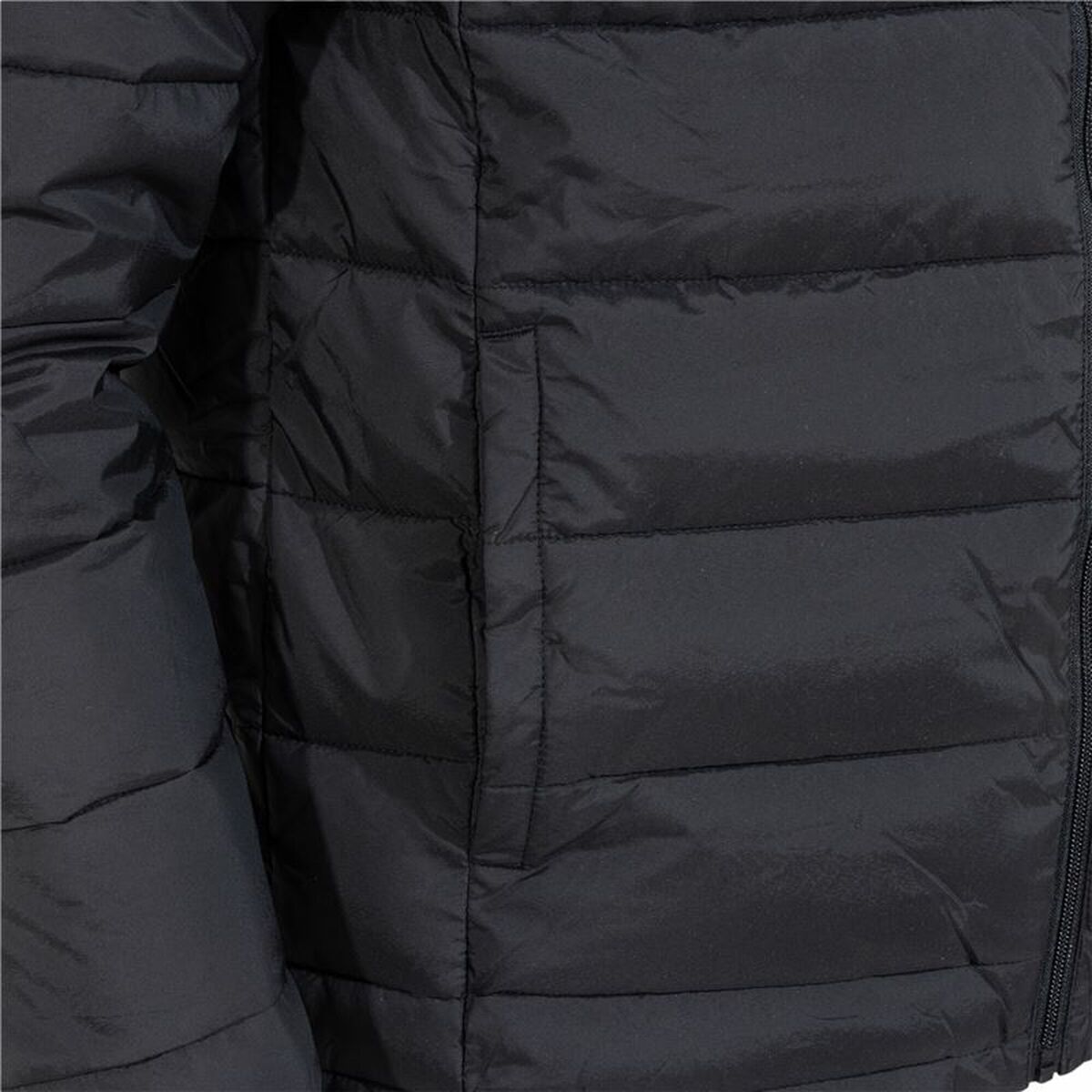 V3HFE9FA3A78A893E78799CB4E10C1F2240R5559381P6