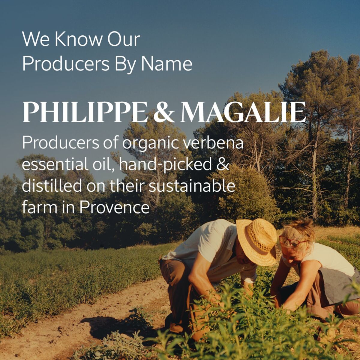 V5HB156FB261BA7751E34CD261F7DF015B3R5915518P4