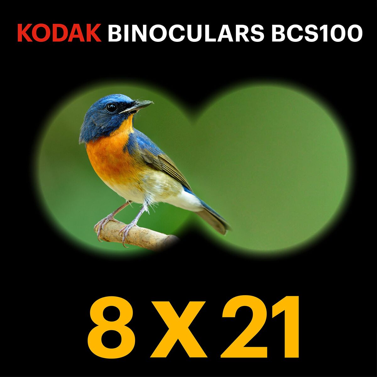 V3HB1EE038225E632757BAE999CCC28BE90R7527500P6