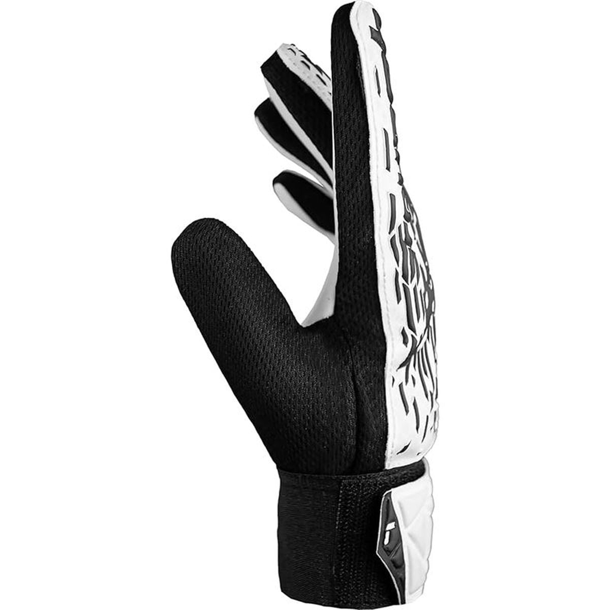 V2HCD9A03CAF77F6C7078E950724F503B7AR7645987P4