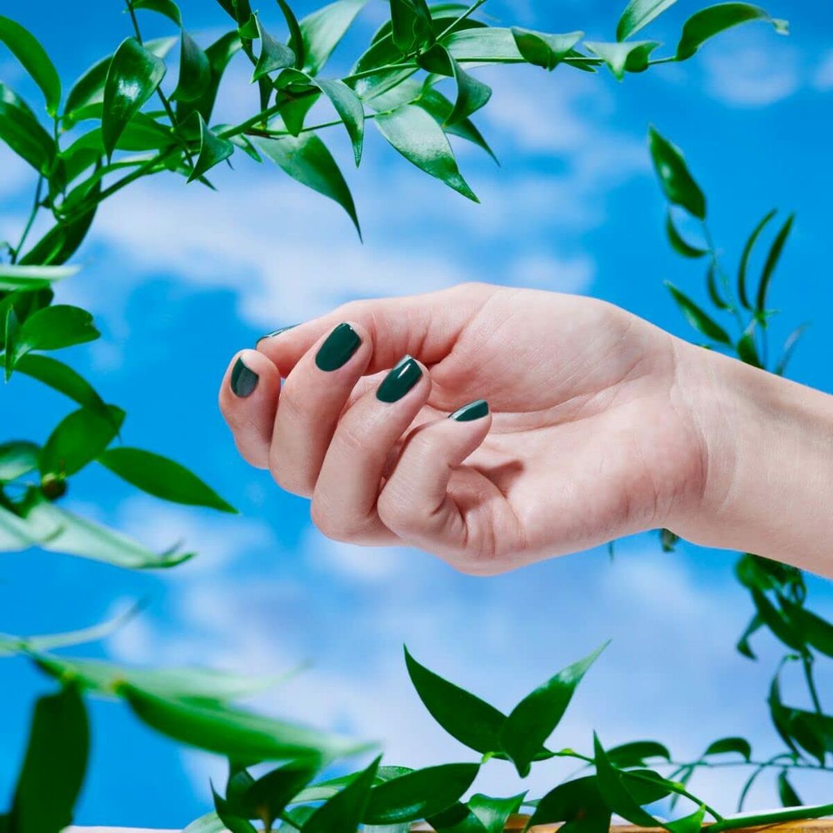 V6H3720E72DAA8A41E6B4808218BCEE900ER4549733P4