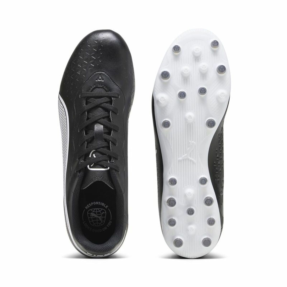 V4H10E53495B1A4D105FAA30164001A8850R4573569P3