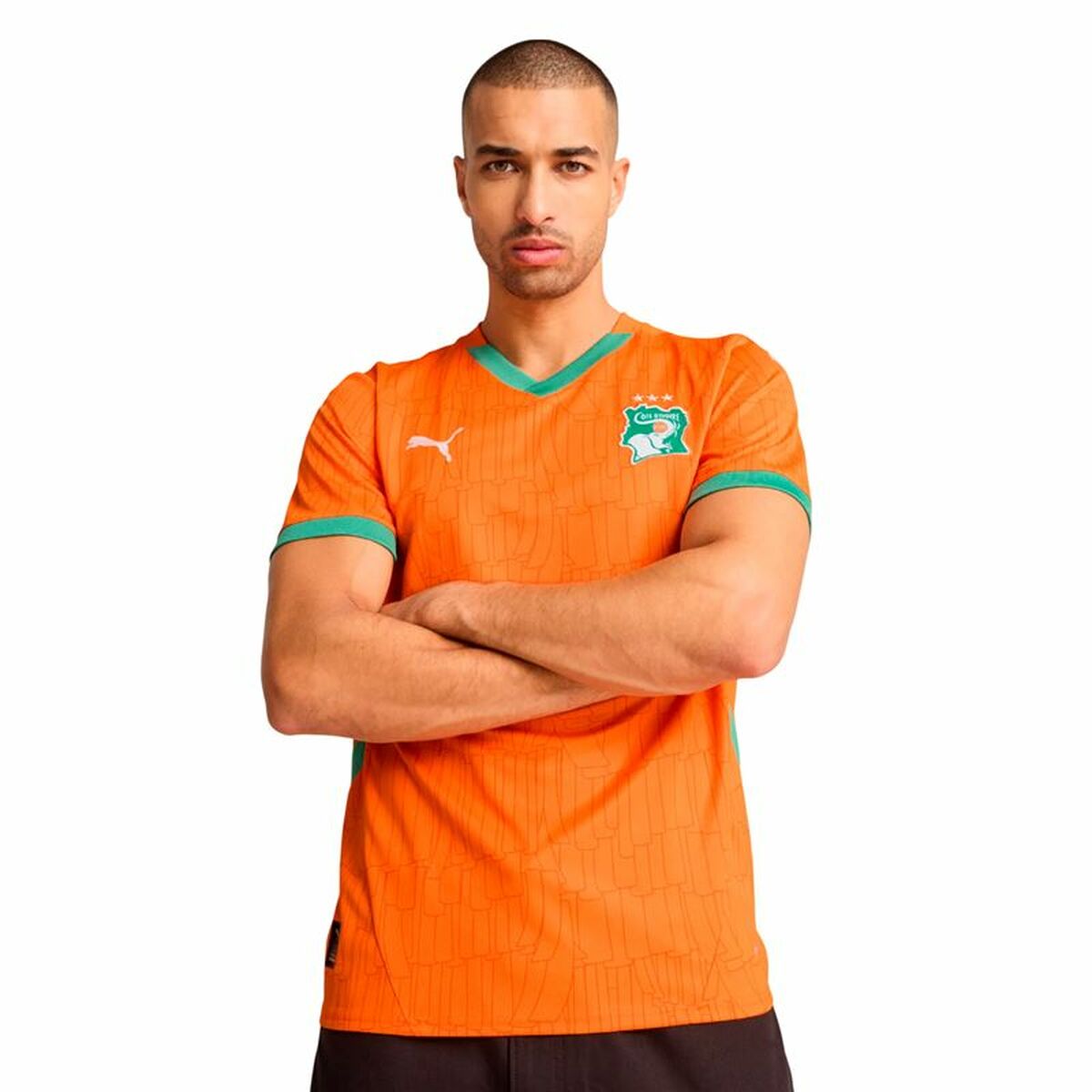 V2HDBEF7A57CE950788461827AE6B8D83F3R6110994P3