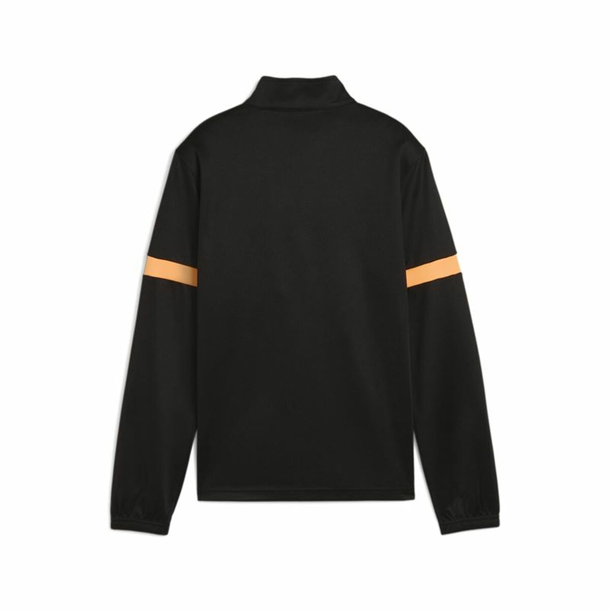 V3H257DE1BAC3E52E97C412085F65AD397BR6086138P2