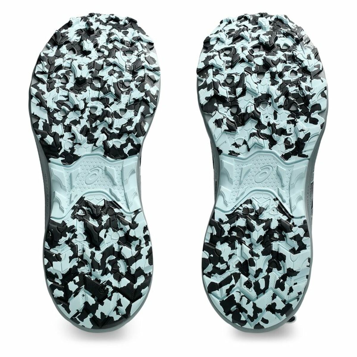 V4HEC2129AEE006935F404962D2BE9244F9R6983305P3