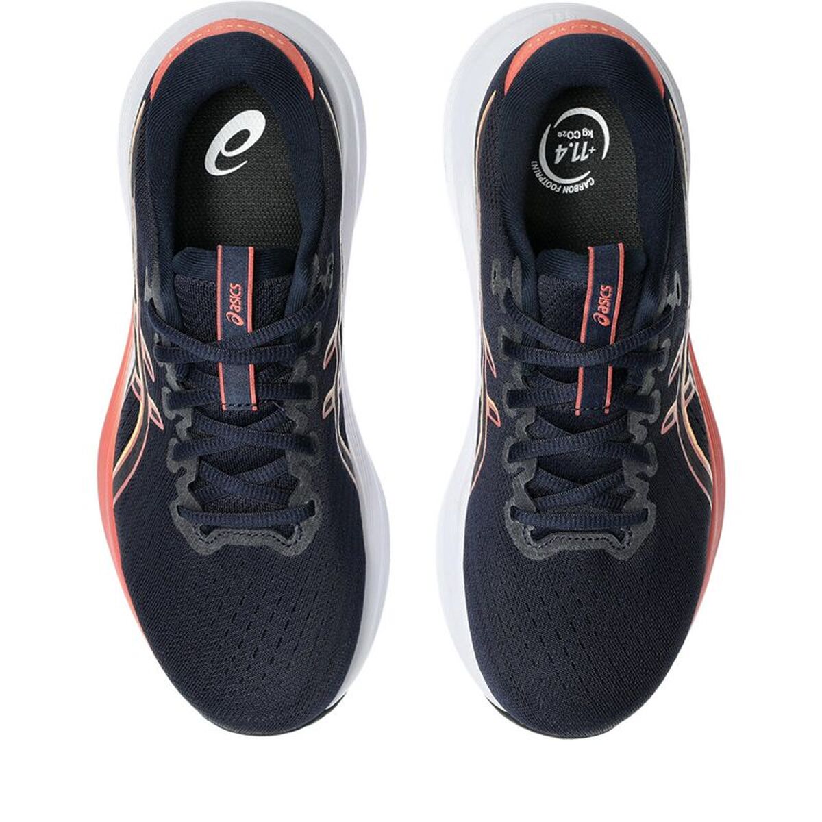 V2HE2F1DD376410D8873D465890EF059461R7584137P3