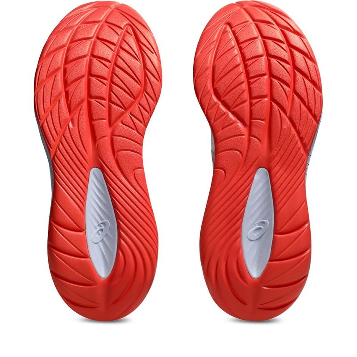 V2H48D9D827202D0598C72D21BE341176E6R7584681P4