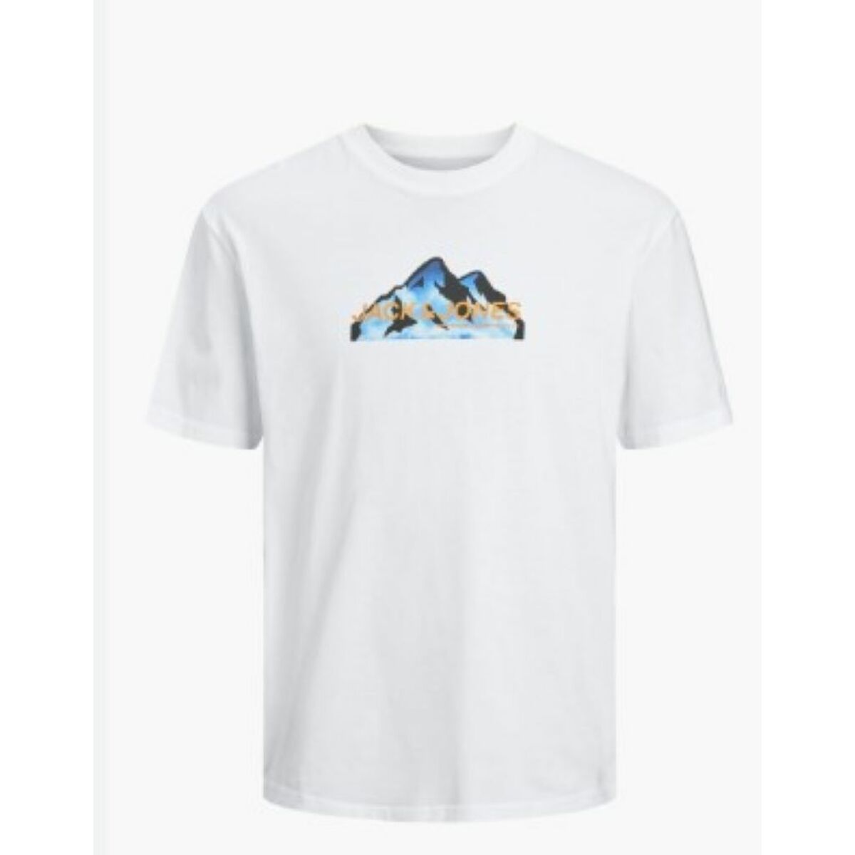 V6H9C6F176B8FE06078E87AB7CE83AE8392R5315595P2