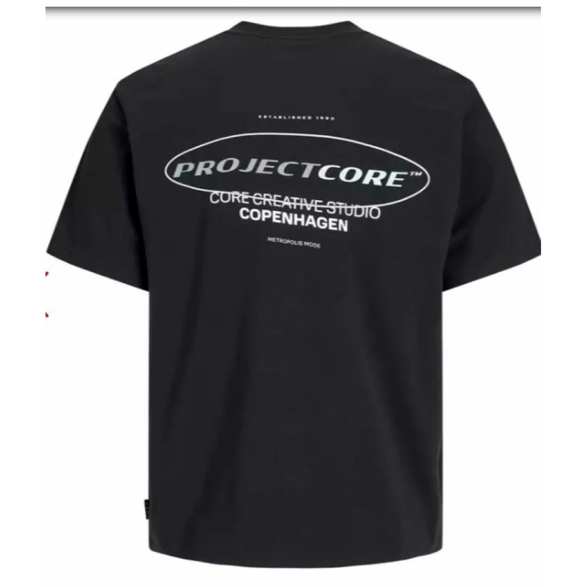 V6H98ACB9DF912C13CB12947E73279CA67AR6603460P3