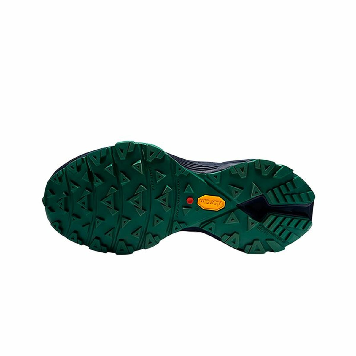 V3HCA7CBC6721D5A52CE0477E4415041017R6076246P2