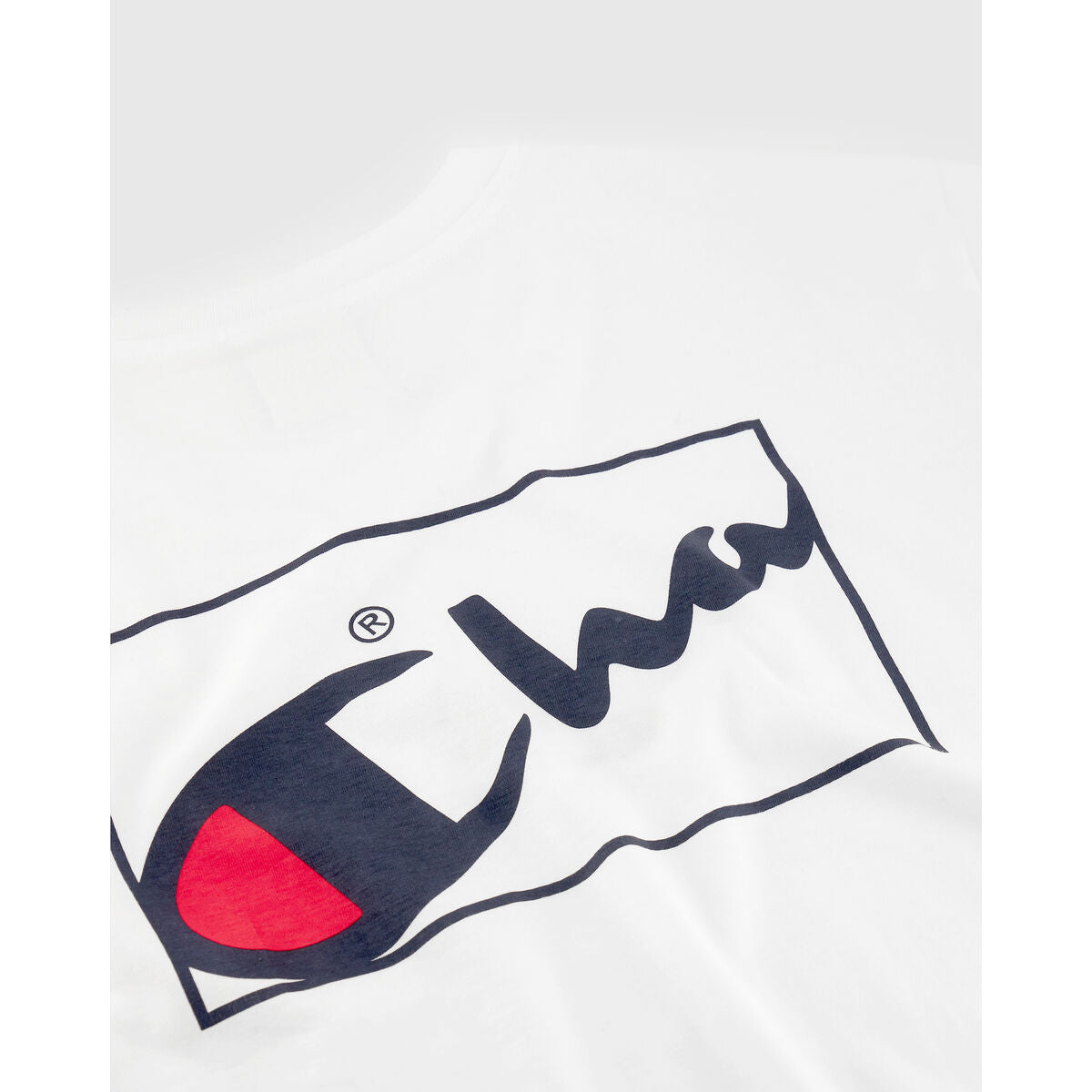 V8H6B8B4B811392D58C3DC4939D0FE54450R6603047P3