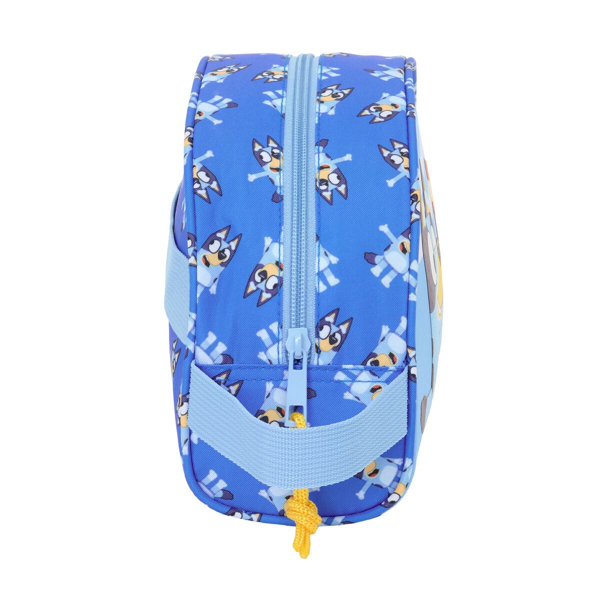 V3H1509CAA7EC616B34317A4207CE38E000R5825941P2