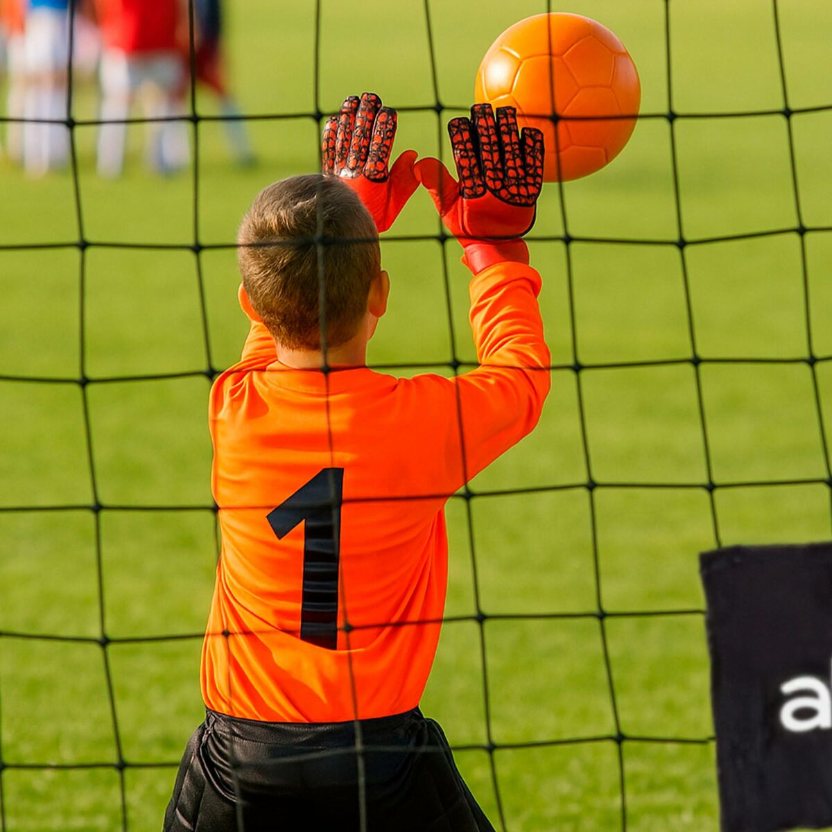 V4H80D2DF226700B2D23677255D58E4136AR7245269P7