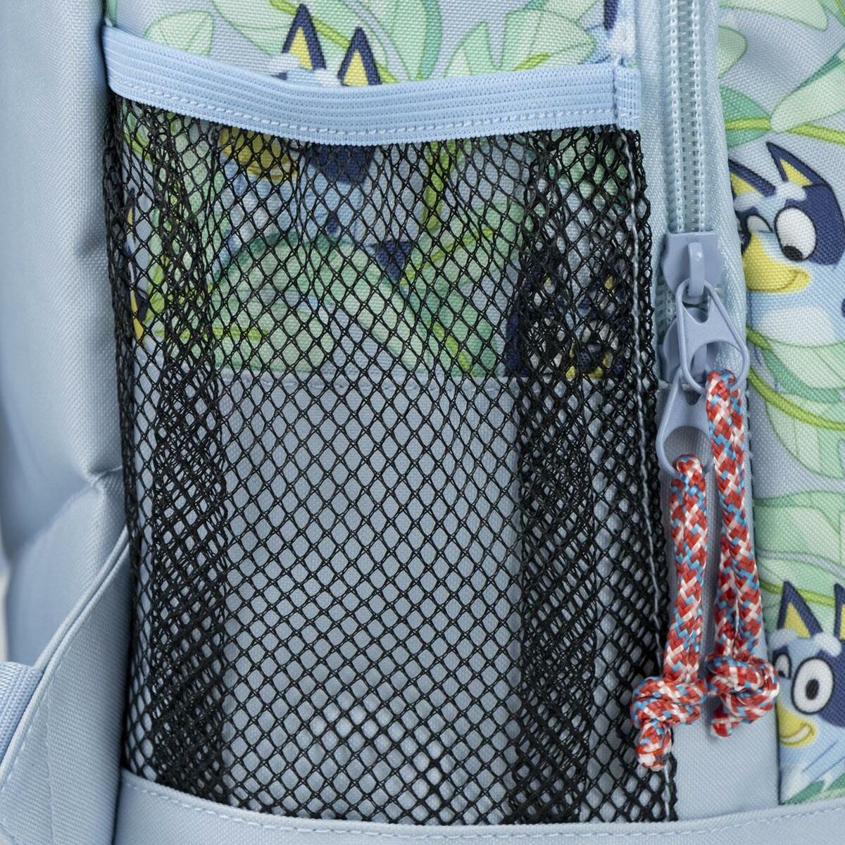 V6H1DE2423291018E4132071326D6B950D2R7003066P6