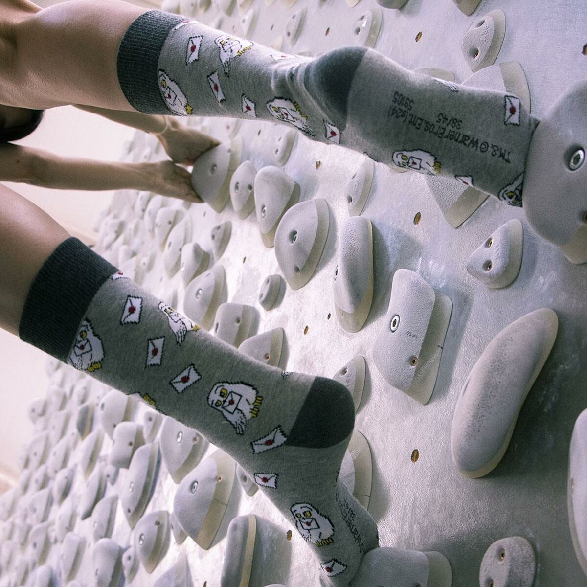 V7H148ABEA68BABC42855EE091EDABB010ER7235506P2