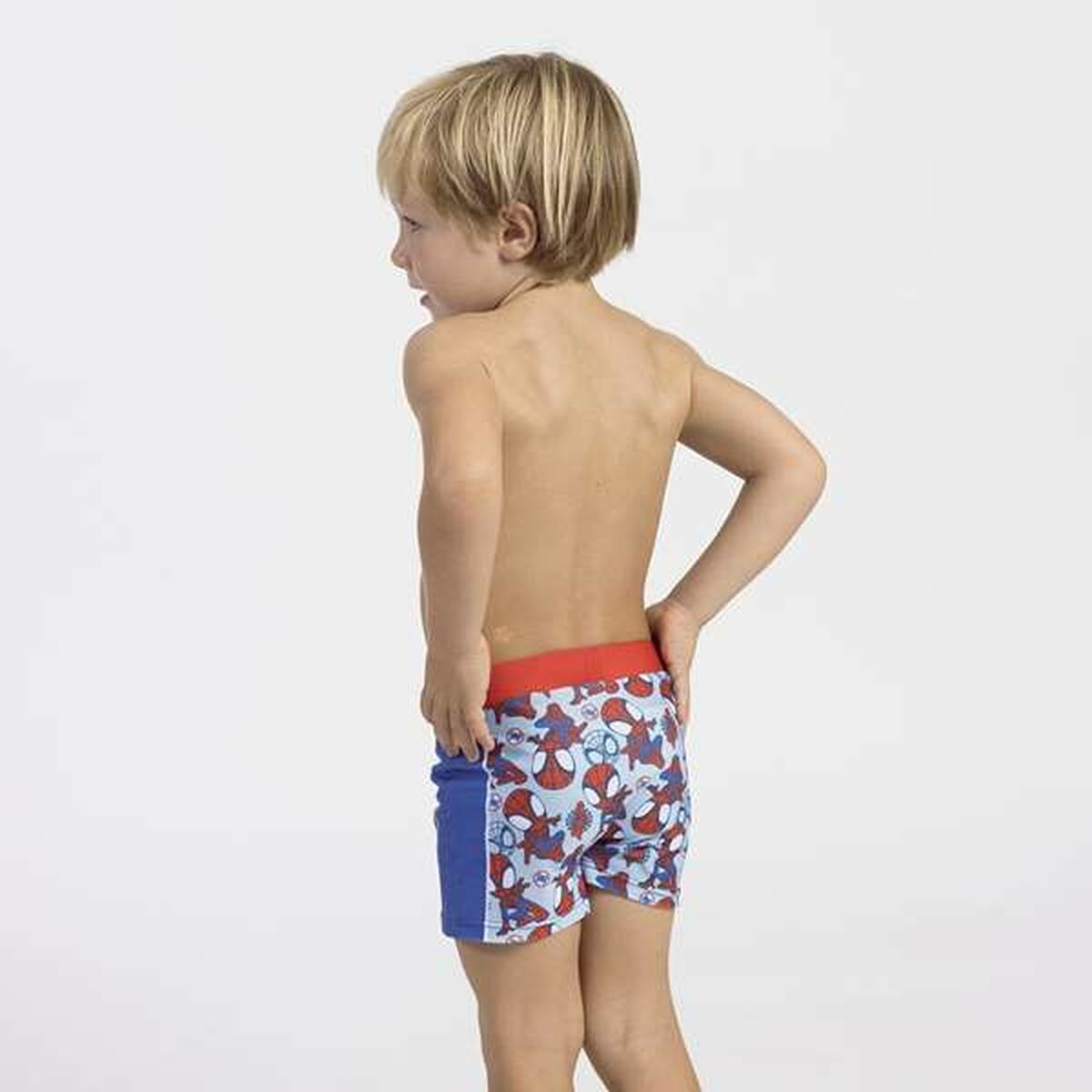 V5HDAEE79D5CA6AD83B123954D53B05B9EER6878510P4