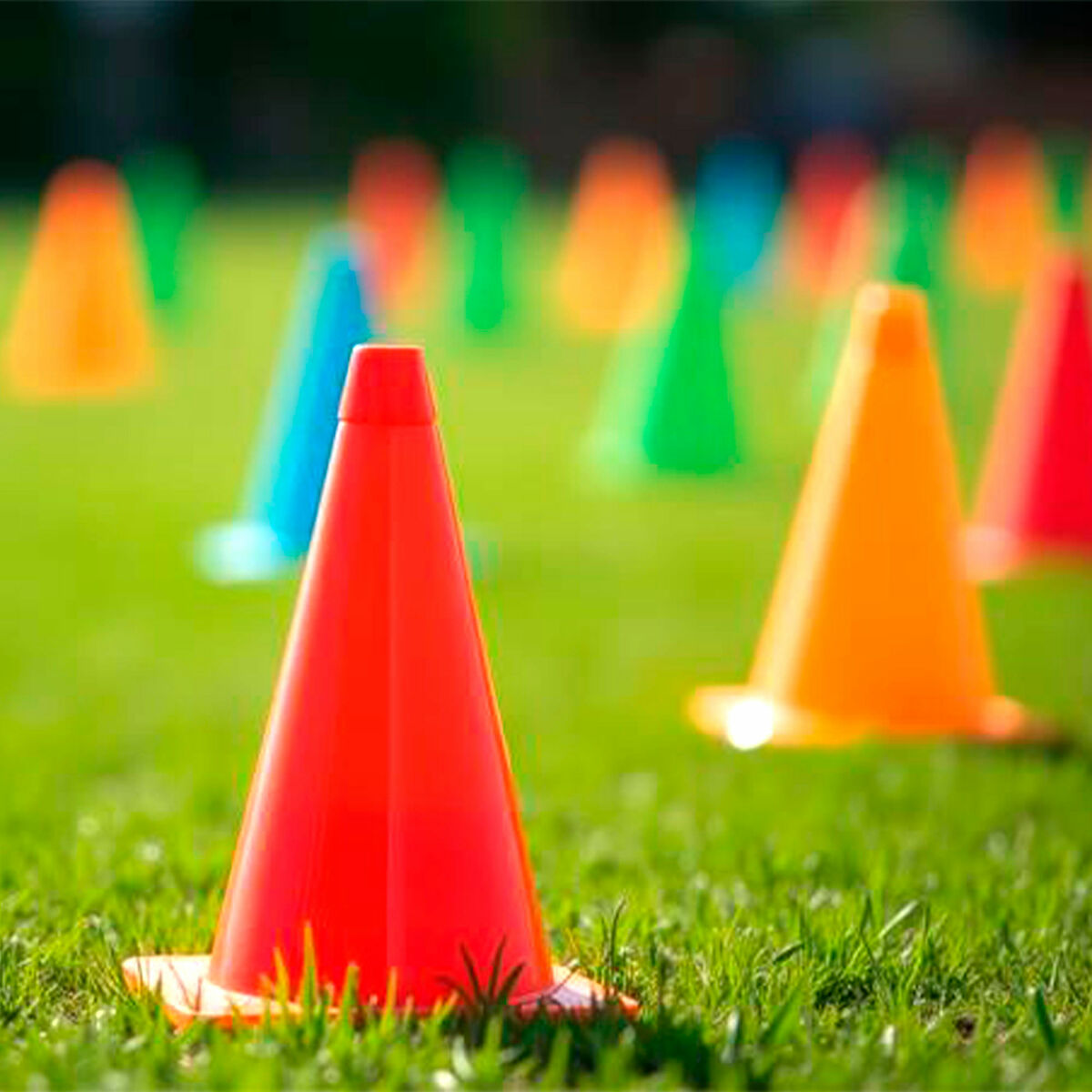 V4H1013395F4CC6B2E3C0DD28AF640E105CR7258787P4